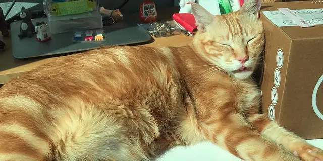 再見 2020，哈囉 2021！