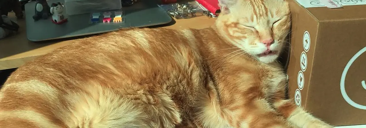 再見 2020，哈囉 2021！