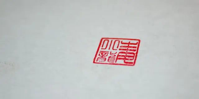 記住你青春無畏的樣子