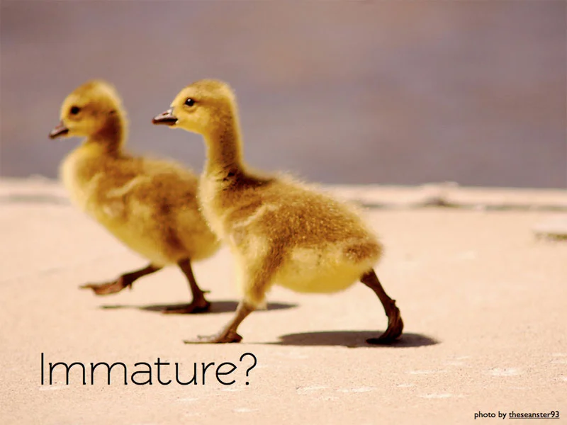 how-do-i-make-my-slide-and-presentation-1